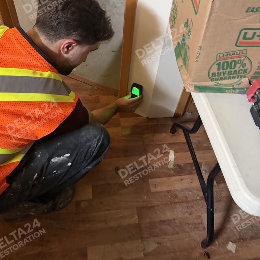 A Delta24 technician checking a wall with a moisture meter